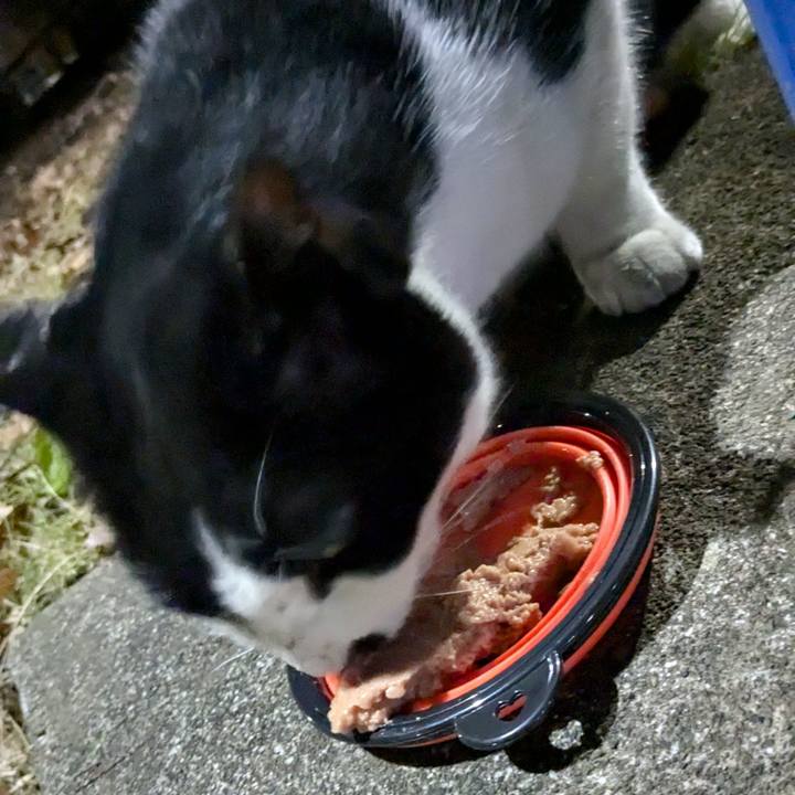 1b753609 a366 4254 87f5 6758213099c5 1733758339432