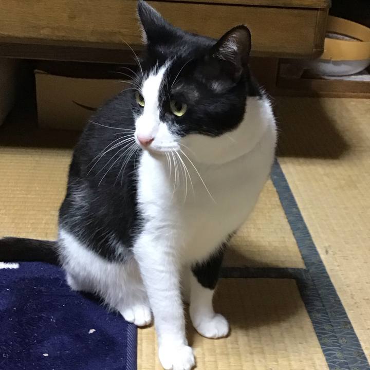 1b75891b f024 42b8 81b6 7d78bf1eb46c 1717498686609