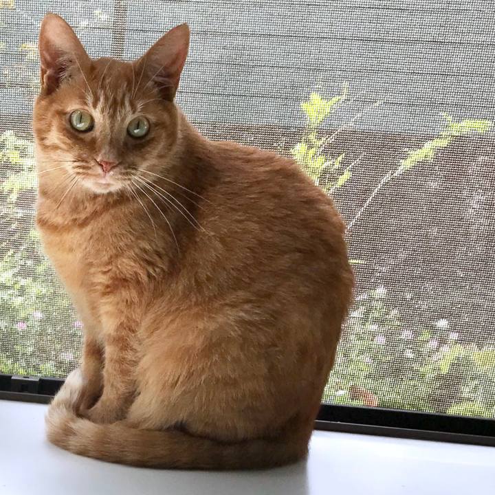 1b75a25d f544 48d1 b512 43e97d60bb8a 1558151354373