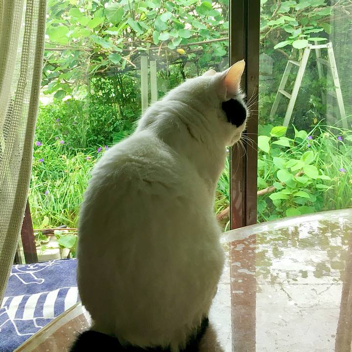 1b7607e9 a2c6 4ac0 b097 e483d591ce06 1592036884302