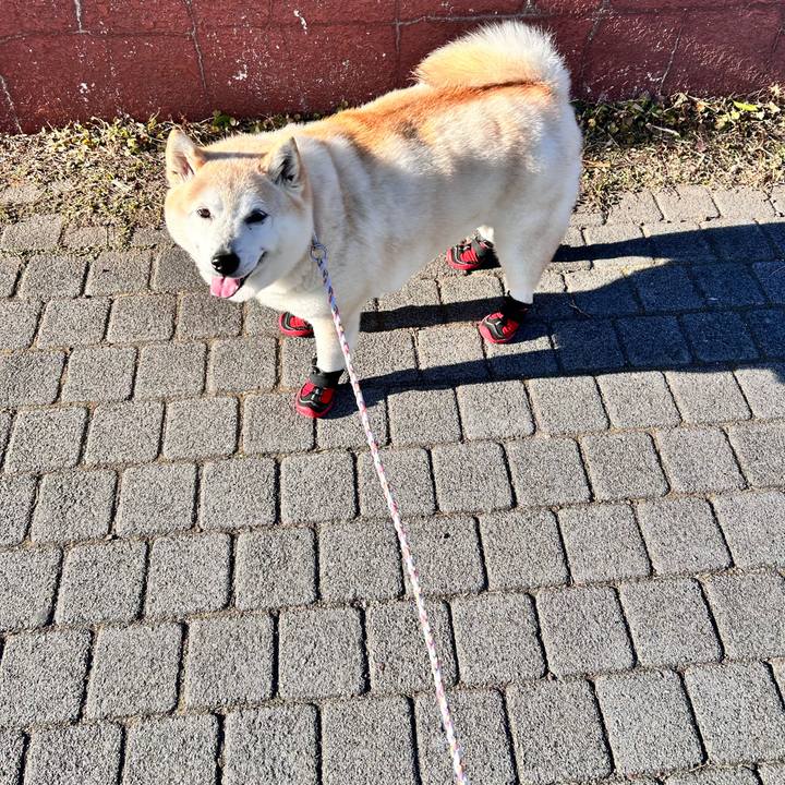 1b764a3e b3b3 49fe 9b90 aeb4c818dac3 1739439709487