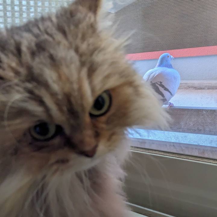 1b764b8b 96de 4b8f 9075 985f3d023b37 1707009950485