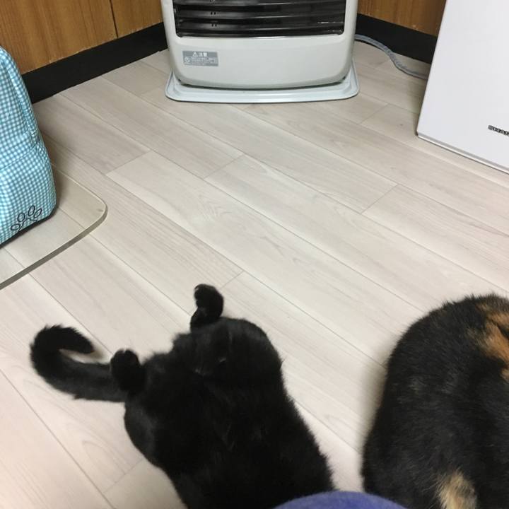 1b768029 3781 4101 8511 f9d76c38e5ef 1510661763457