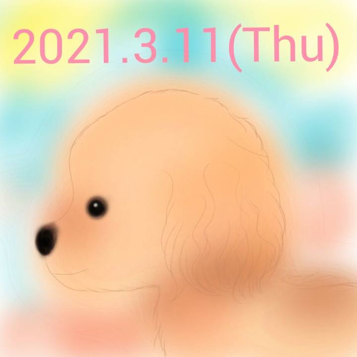 1b76a1b1 4239 4e6d adbe 9bbaf0b3c26a 1615464845090