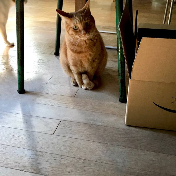 1b76a257 c863 47ae 8c10 cd5088dcc154 1541672021684