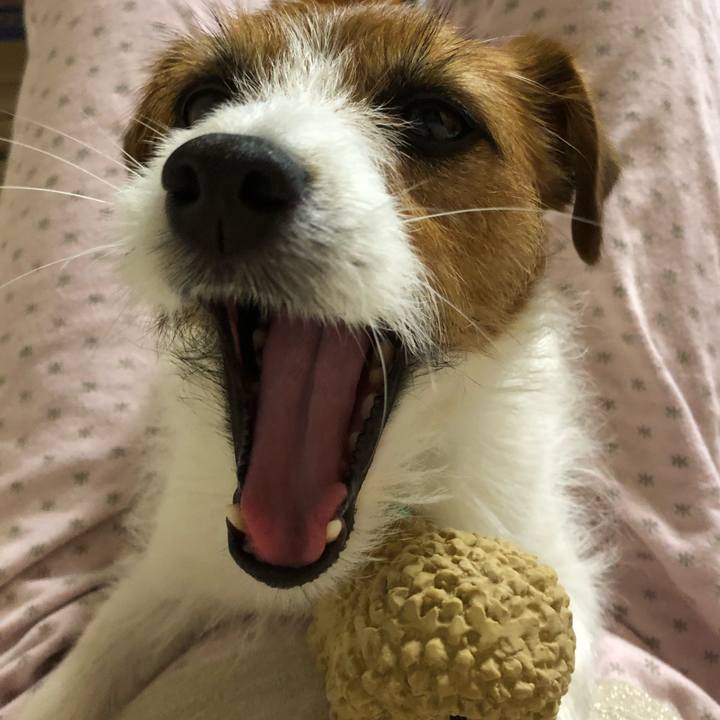 1b76b100 b1c7 401b b9ee e5452e4434ac 1525520880173