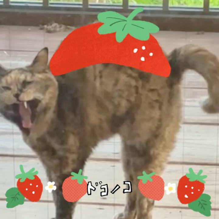 1b76e5e6 bde8 4ad4 a73d 0ac04009fc72 1775227594904