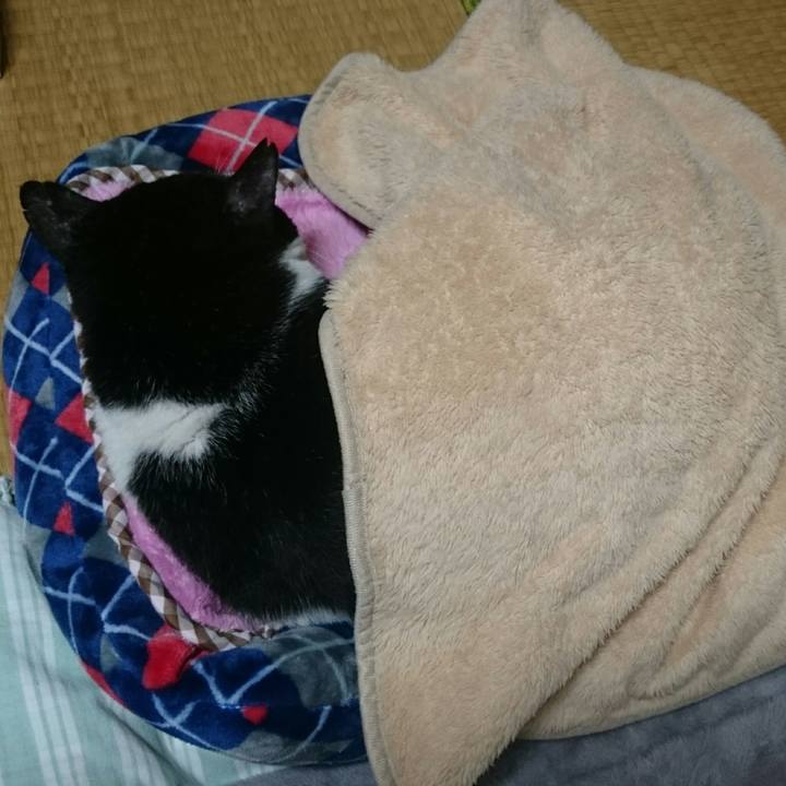 1b76eaf9 7335 4bf5 ba9b 92ea7919d4a9 1508413656021