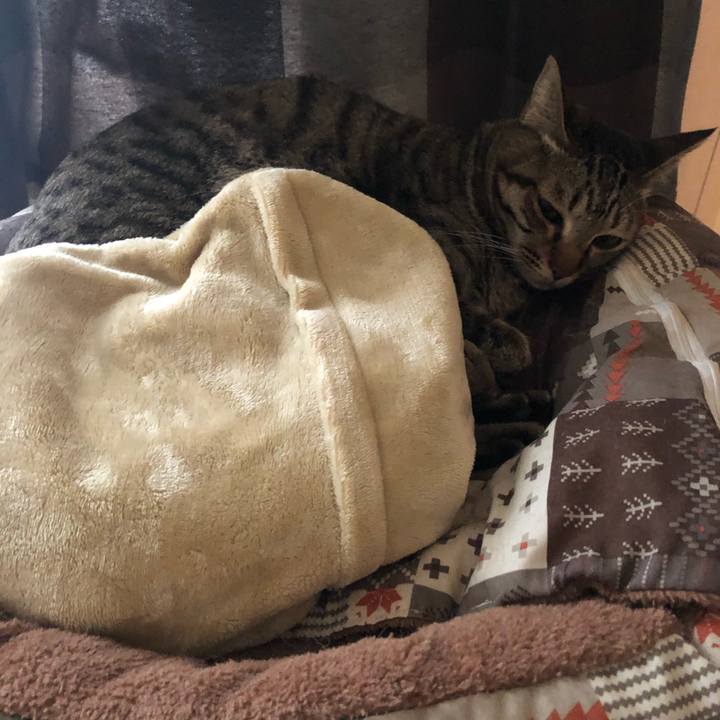 1b76f5e2 b8d4 4abe 9835 62e0e14f607e 1577306528832