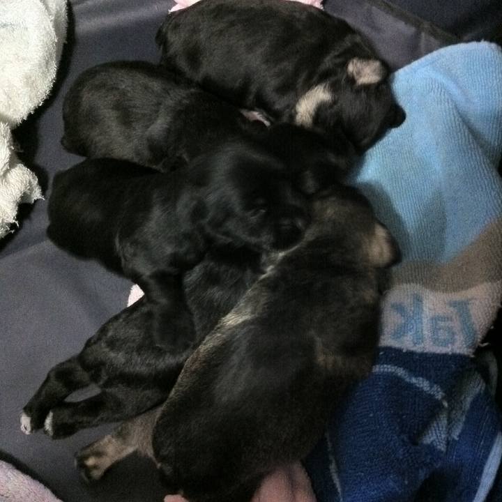 1b770af6 83b9 4b29 b72f 502e47ae814a 1587942978552