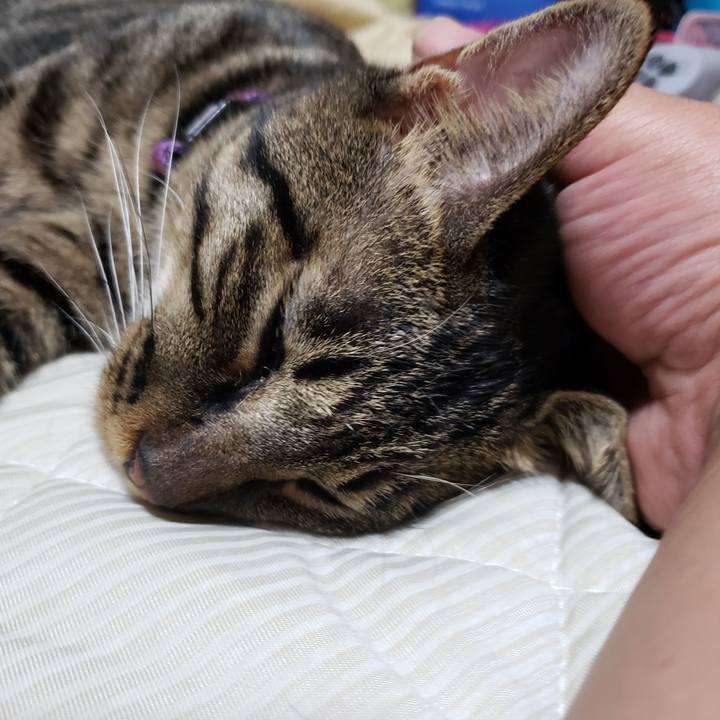 1b77781c 0864 4b1a 8217 e7e242d5bc7f 1567076864270