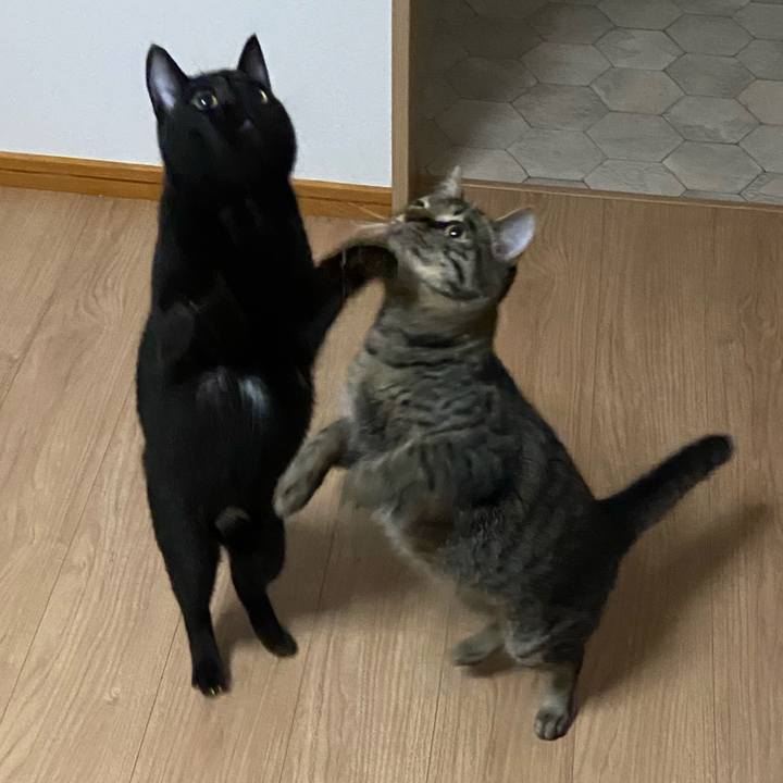 1b77a5f8 d952 4384 bdad 549b2476c727 1625573240744