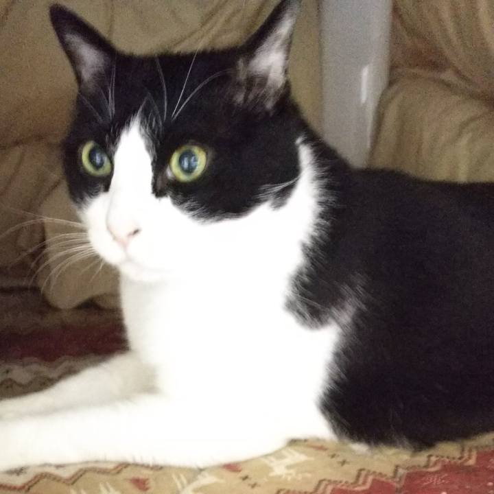 1b77b453 93fa 4e8d a232 58fec90547f1 1548971411104