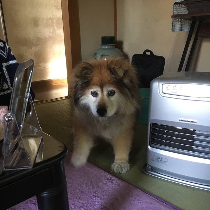 1b77c075 9cf5 40e0 b631 3df78b1ad3a3 1563834418364