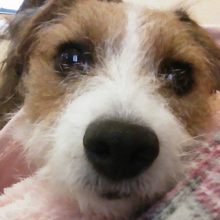 1b77c52a 5ab2 4abe bca8 8dbeda4f8165 1539471903461