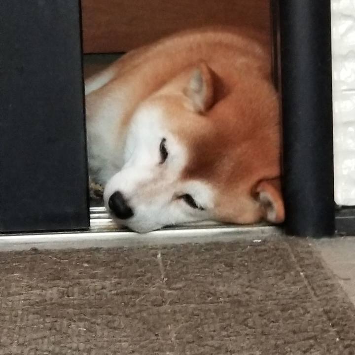 1b77d183 40ea 4303 8dd3 a32cb3ed2ba0 1568020430369