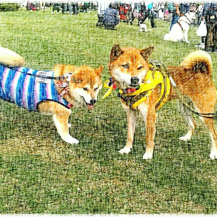 1b77d183 e9dd 401f 9afa a7ebb393408a 1541919699911