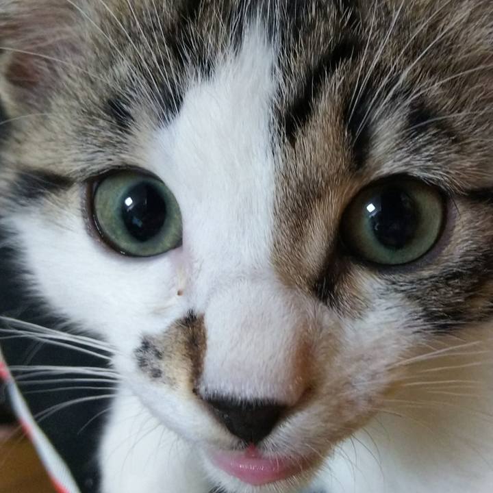 1b77f20d 4afc 49a5 b565 f03156f54faf 1606991581394