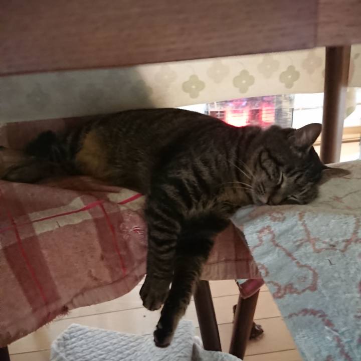 1b77f4ab 8d13 4e06 b9b4 3ab3bfd1eeff 1644613910512