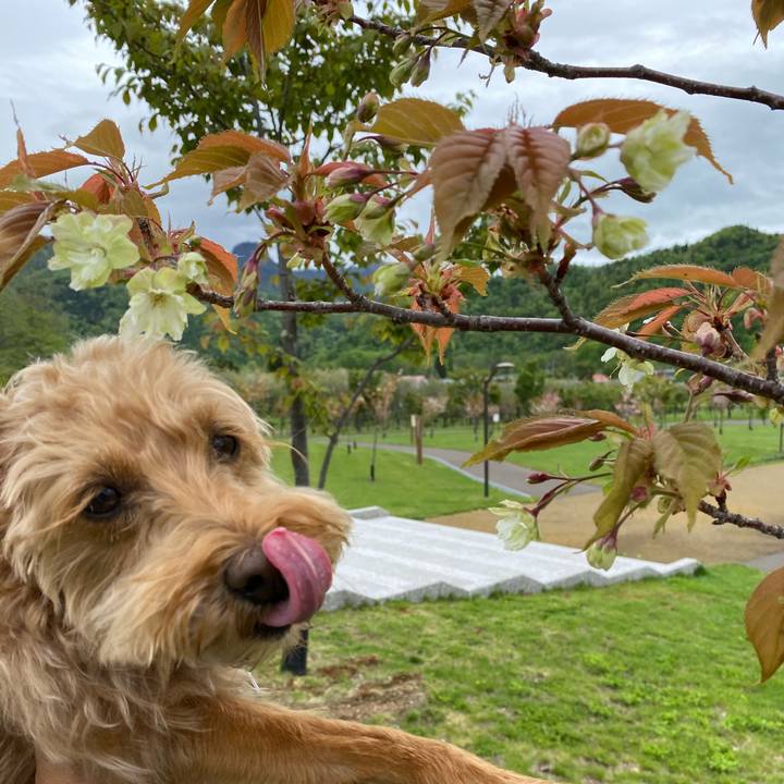 1b785fa5 d981 454d 8cd9 40171786848d 1621654324915