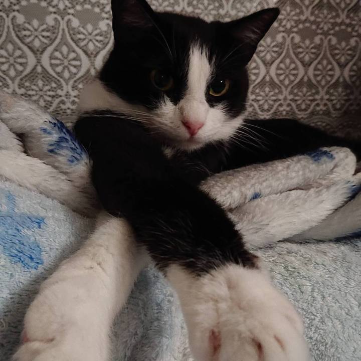 1b7863be dfa9 44a4 a297 c6a060be4d3a 1595099002015