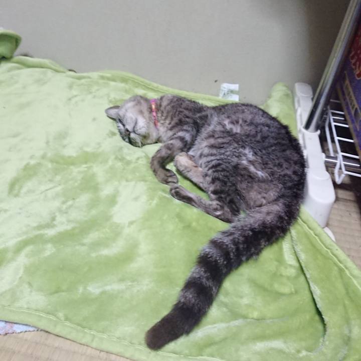 1b7899fe a550 4efd b811 cfc57cb34719 1596972180756