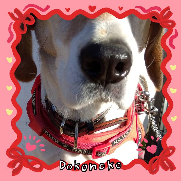 1b78be80 879f 4ff0 81c0 fd35eccc3679 1706961919643