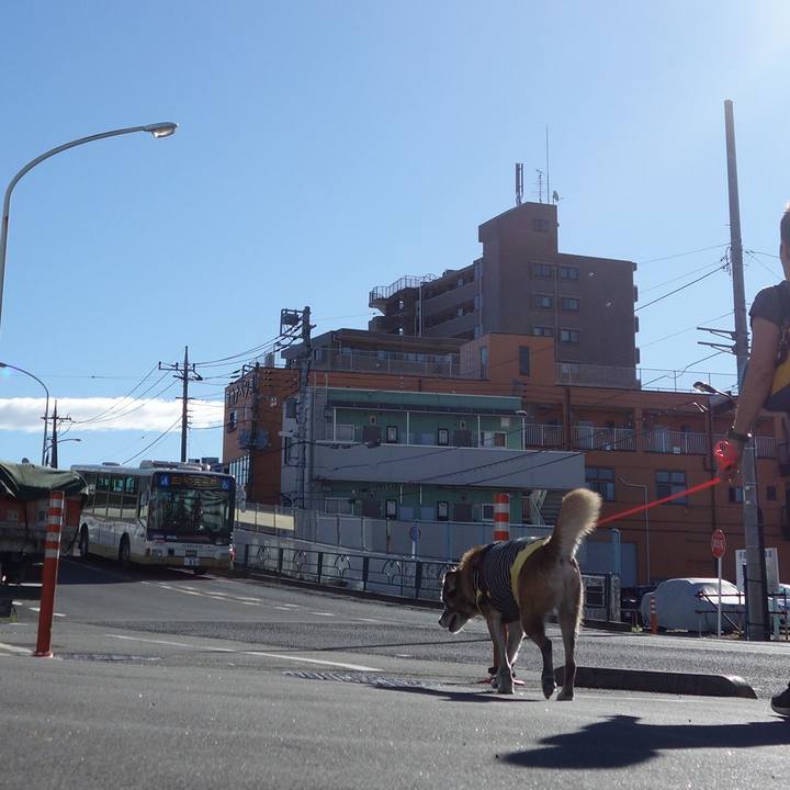 1b78c8e0 e8ff 4d32 af1b 69e6e8eb37d4 1570925120785