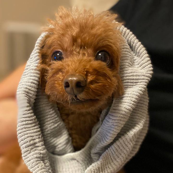 1b78cfbf f847 4184 98c4 61eff5a8fde2 1614948209909