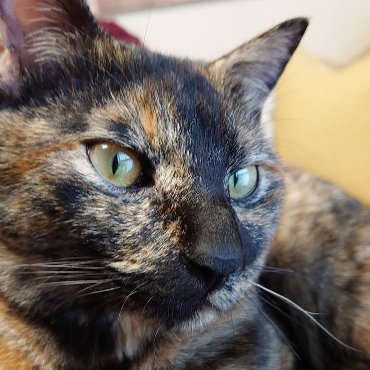 1b78d412 dbbd 4a76 b851 dd6a321f06be 1758973549574