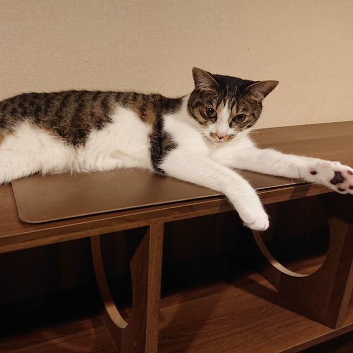 1b791f16 029d 4fa0 842c 4549f3033613 1657261135827