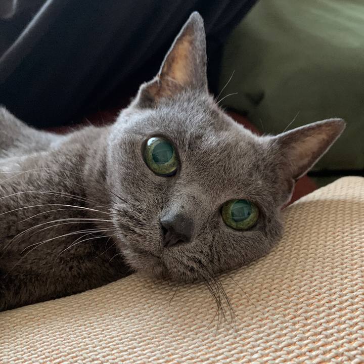 1b7948e3 9063 417e a216 d8026bcb2547 1683955309526