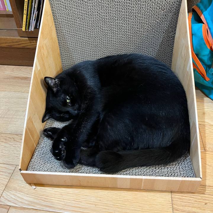 1b794c4d 0de4 4da4 a20b a96f3e79ac37 1716772062449