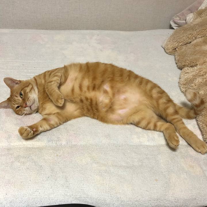 1b796e7c a6d8 4a1e 84cd 336586666341 1605012205641