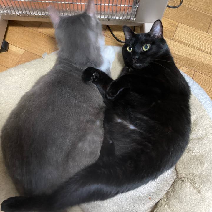 1b797234 6e00 4d5c 94fe 04fb3213647e 1654503374170