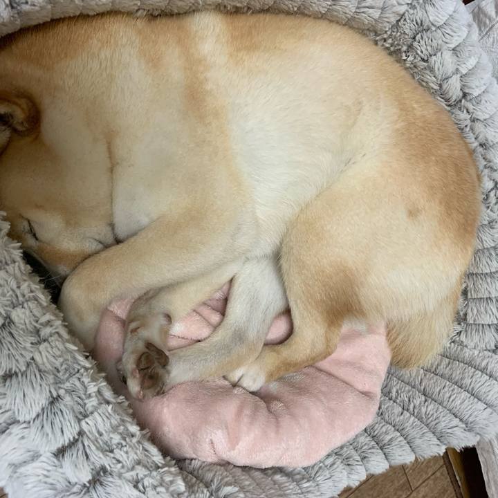 1b797617 75e2 4304 9af5 08ece9bf85ab 1654734323754