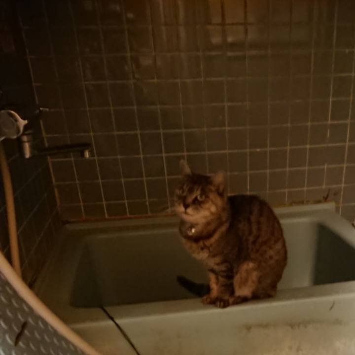 1b7986d7 6012 4370 add5 88510077fda4 1573635671142