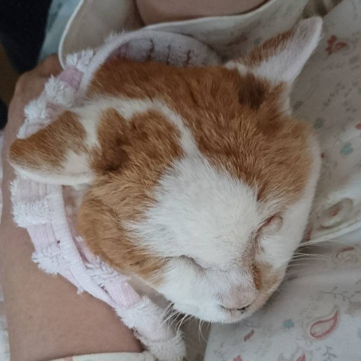 1b79a4d2 c9b6 4b97 98b1 05b1913c5d31 1623968070066