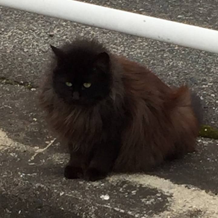 1b79b009 ba68 499b a938 e6cbc9f20326 1525508123230