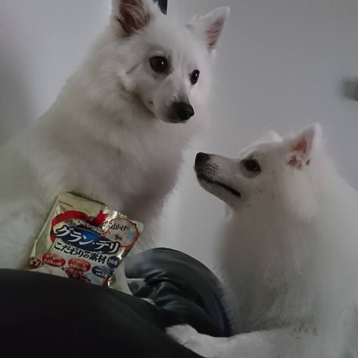 1b79d841 8ca0 4822 ad83 97498a919d73 1560225454611