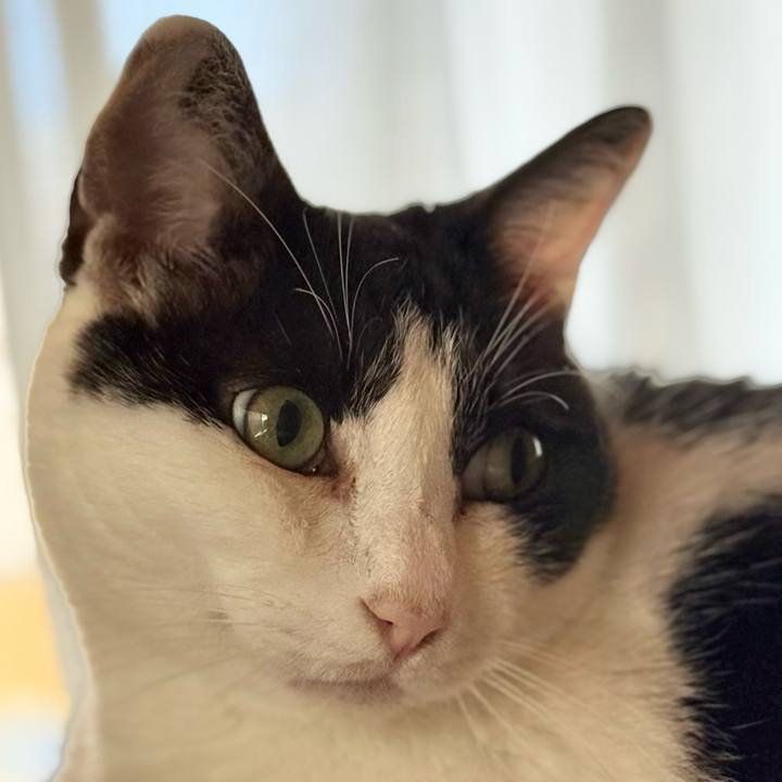 1b79e54a 449d 4f02 8418 692ea5b730a5 1752890496129