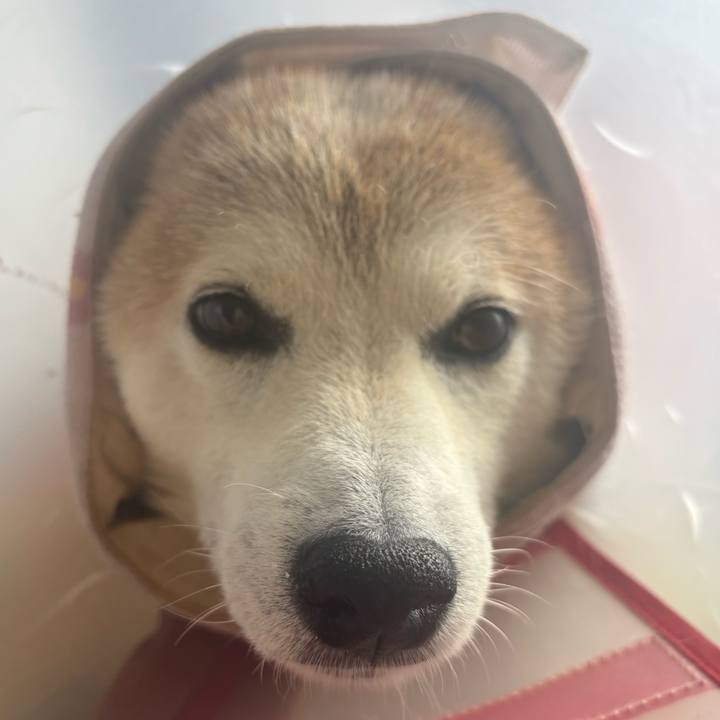 1b79ecb2 079f 4754 951f 33a10c1d8490 1758254365379