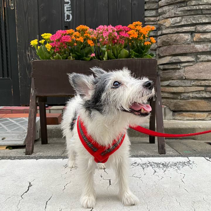 1b79eeff 4482 4749 86b5 a832ea930349 1600647722903