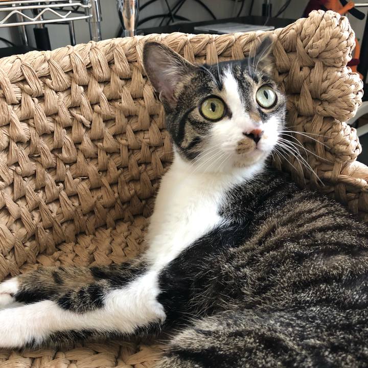 1b7a0cc2 99ae 4080 ab10 9ddb60e3fed0 1526590364557