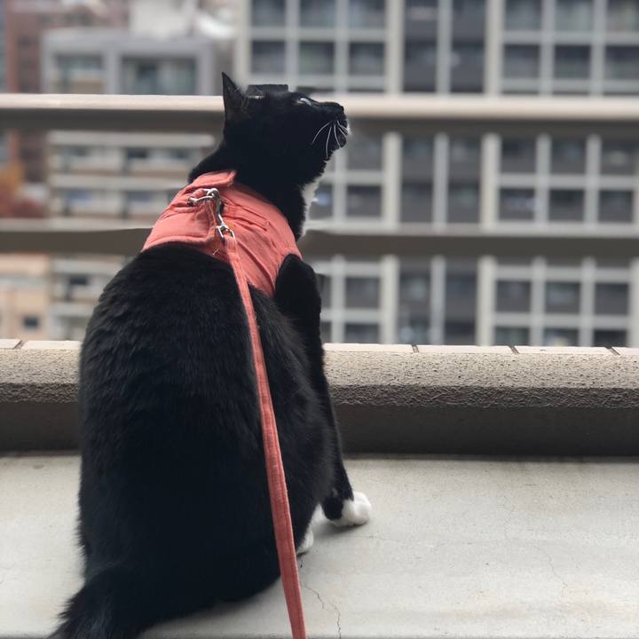 1b7a11b7 ea7f 41cc b7e6 6253a1f57074 1575260079795