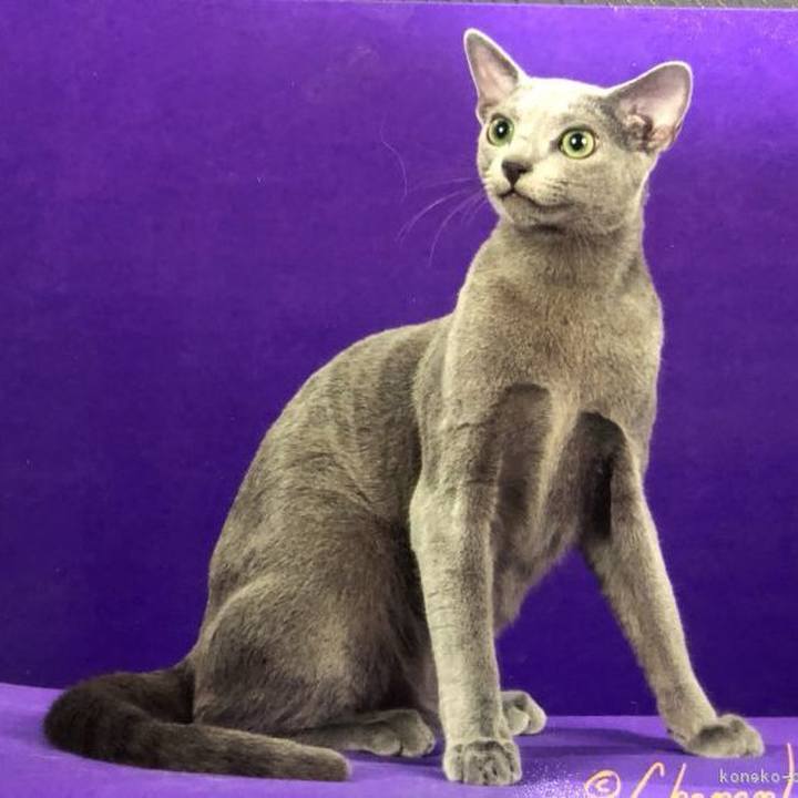 1b7a1e70 5b60 4fb9 9bd7 8945029ce9dd 1741819759694