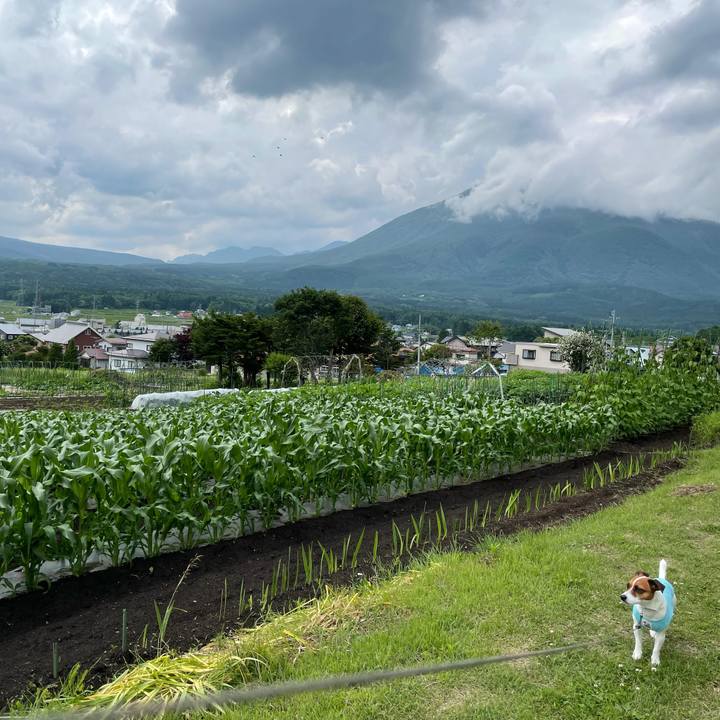 1b7a1f2a 0628 41b6 8747 b2b901b85863 1624601082768