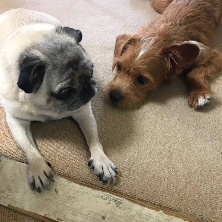 1b7a44c7 7da8 43ad 8585 6735a86588a8 1534722008449