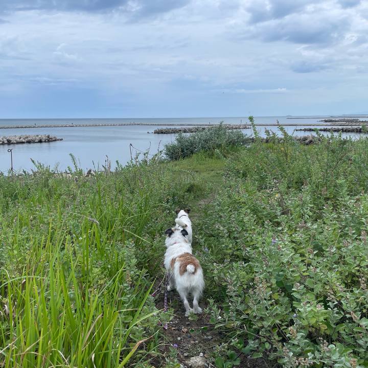 1b7a6d6e 70c6 41d9 9cd2 2ab143050123 1758323941493