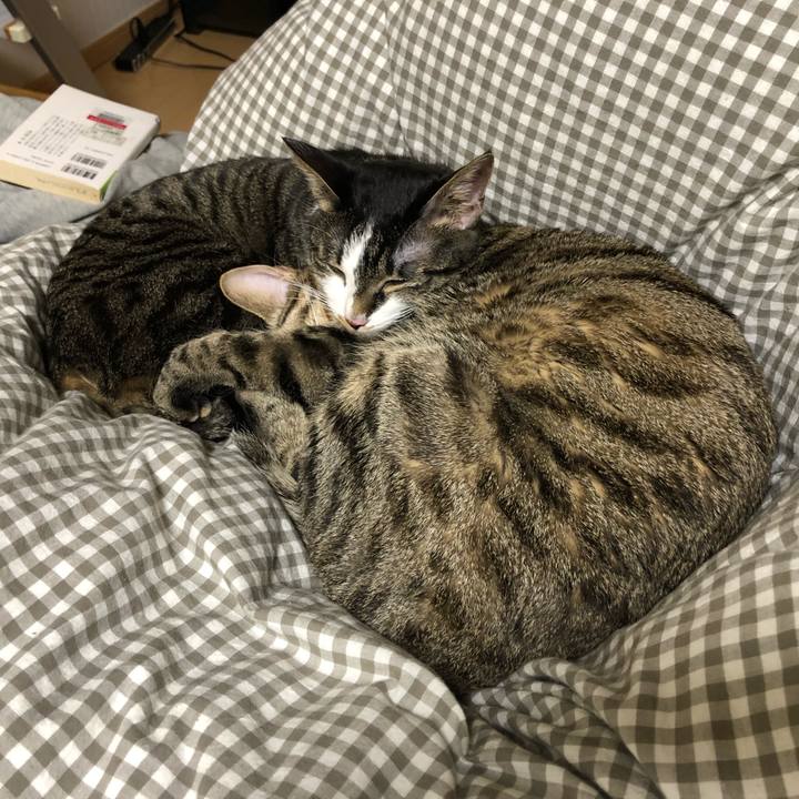 1b7a87f0 825a 4330 ad10 a58e1d045d28 1514644254944